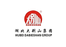 大別山集團(tuán)